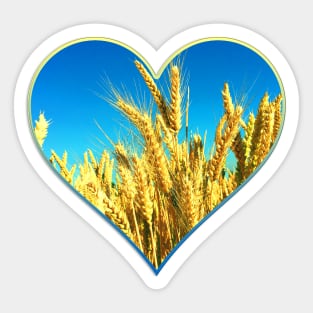 Heart with Ukrainians colors Sticker